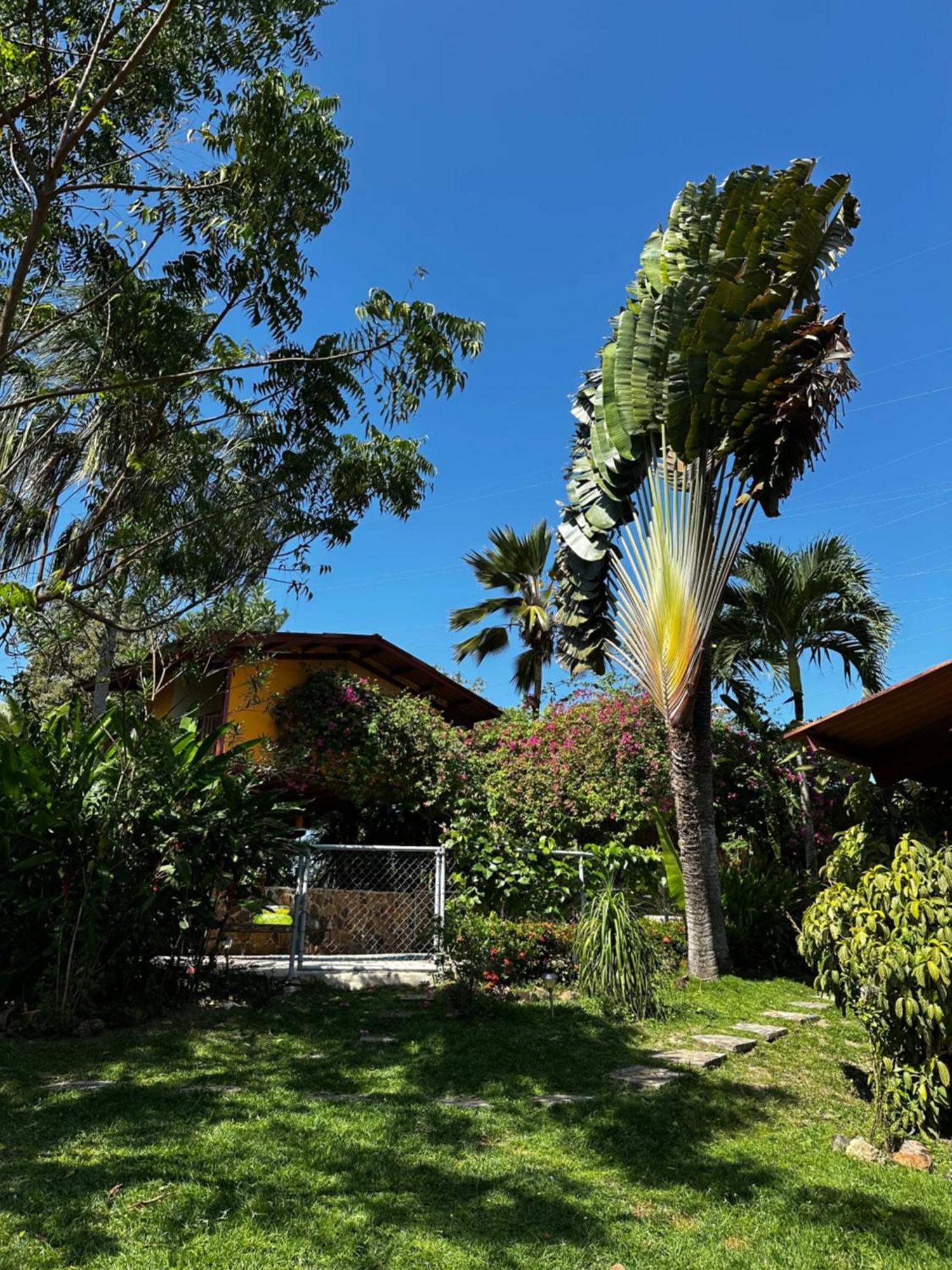 A Piece Of Paradise San Carlos Exterior photo
